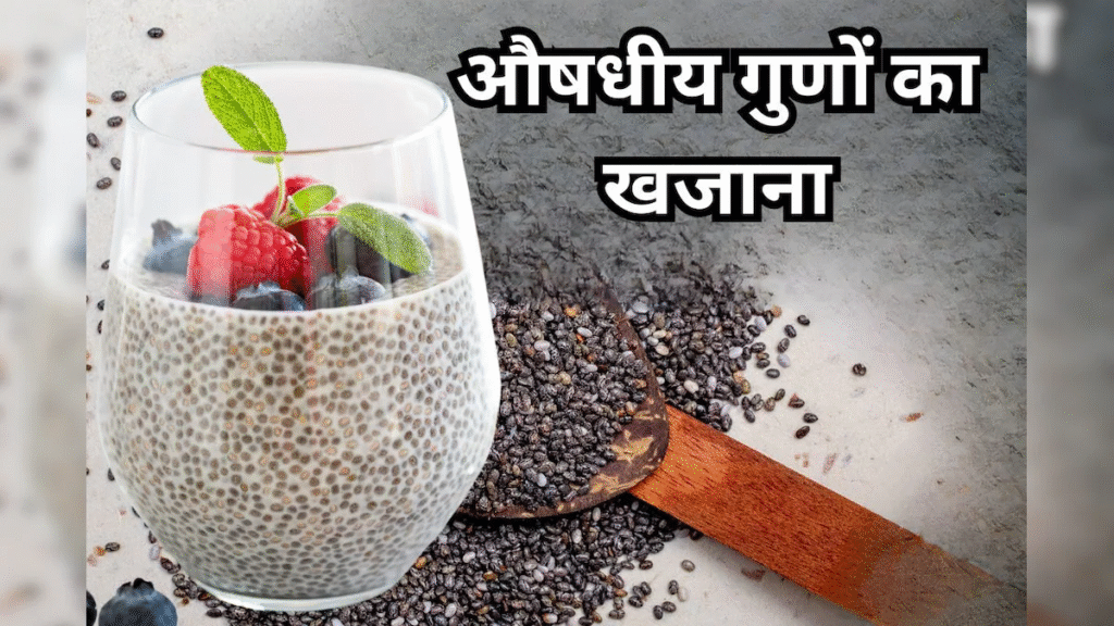 Chia Seeds